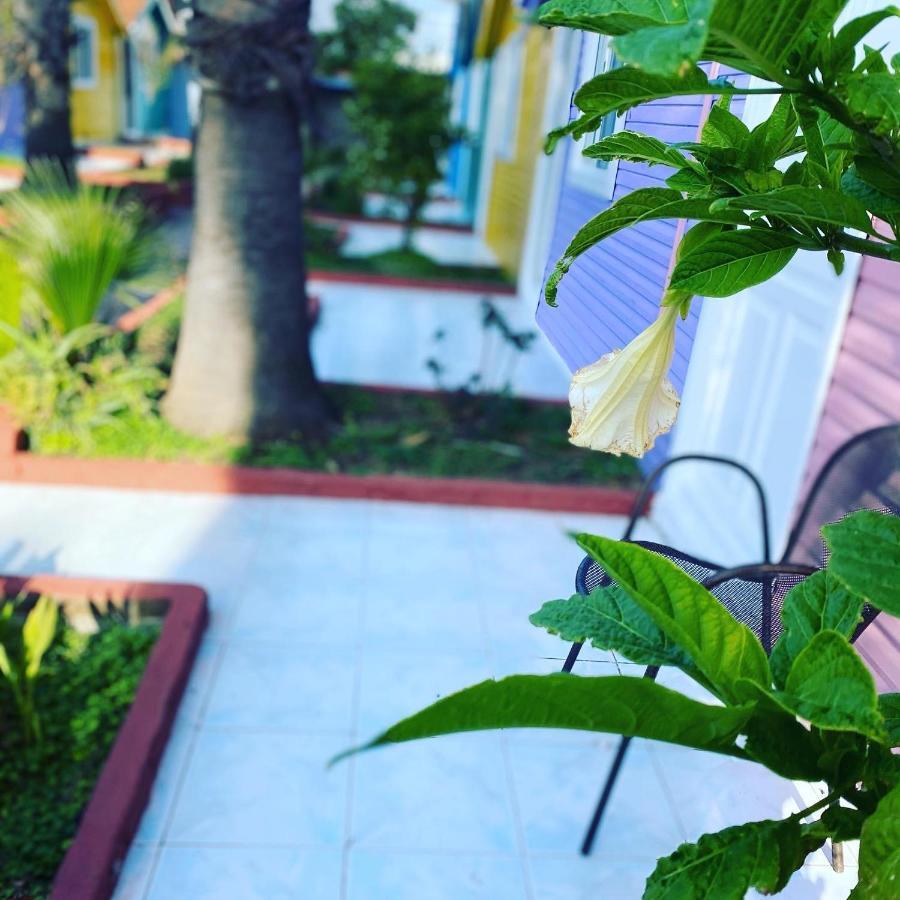 Cuba Beach Hotel Sidé Extérieur photo
